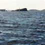 Lion Island