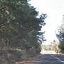 Lithgow Township & Surrounds