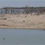 Menindee