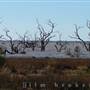 Menindee