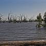 Menindee