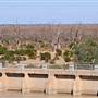 Menindee