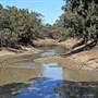 Menindee