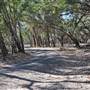 Menindee