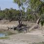 Menindee