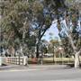 Patton Street - Broken Hill