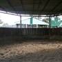 Lomar Park Stud