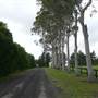 Lomar Park Stud