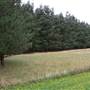 Macquarie Woods - Vittoria State Forest