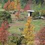 Malniri Park Stud