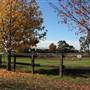 Malniri Park Stud