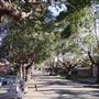 Marrickville Neighbourhood