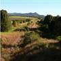 Mullumbimby Area