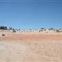 Mungo National Park