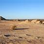 Mungo National Park
