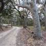 Murramarang National Park
