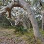 Murramarang National Park