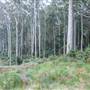 Murramarang National Park