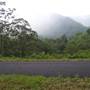 Nimbin