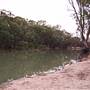 Murrumbidgee River