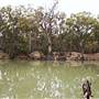 Murrumbidgee River
