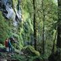 New England National Park