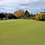 Orange and surrounds