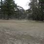 Newnes State Forest