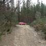 Newnes State Forest