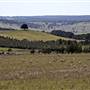 Oxley Highway