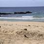 Middle Beach - Mimosa Rocks National Park