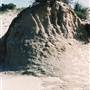 Milkengay Lake Sand Dunes