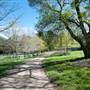 Milton Park Country House Hotel & Spa