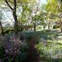 Milton Park Country House Hotel & Spa