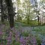 Milton Park Country House Hotel & Spa