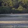 Moonee Beach