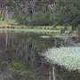 Moruya