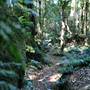 Mount Keira Scout Camp File 1
