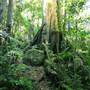 Mount Keira Scout Camp File 1