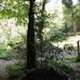 Mount Keira Scout Camp File 1