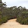 Mt Blackheath Lookout
