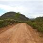 Mt Banks Summit Walk & Picnic Area