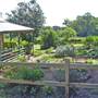 Private House - Port Macquarie