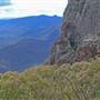 Mount Kaputar National Park