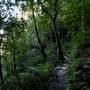 Jamison Valley Walk - Blue Mountains National Park