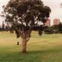 Queens Park