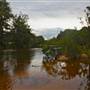 Navua Reserve - Grose River