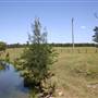 Riverstone Farmland & Eastern Creek