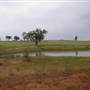 Paddys Creek Rd, Dubbo