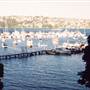 Rose Bay